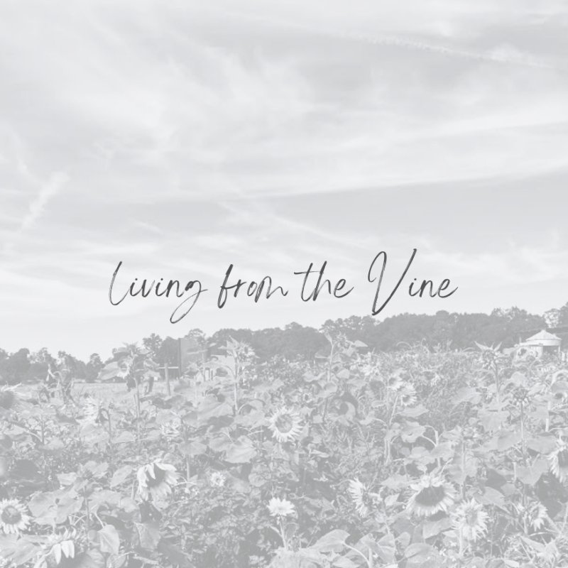 Living From the Vine